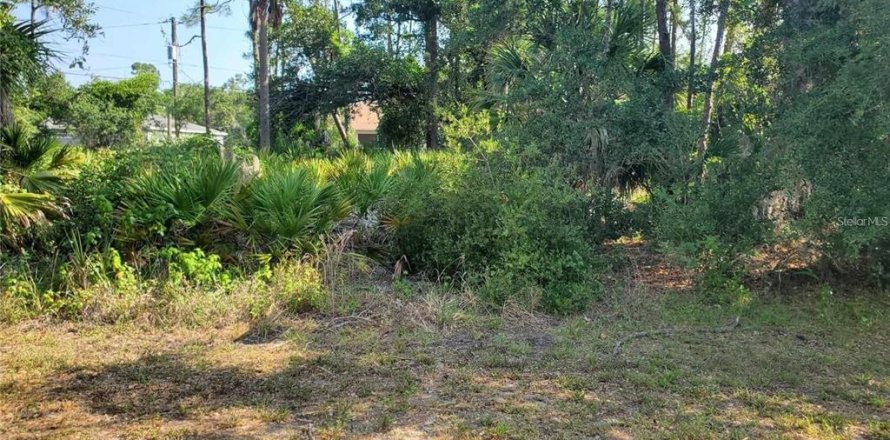 Land in Port Charlotte, Florida № 2159911