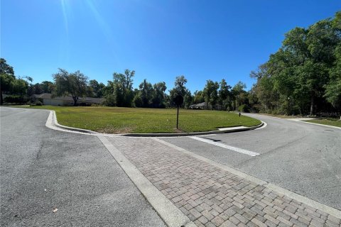 Terrain à vendre à Ocala, Floride № 1508844 - photo 6
