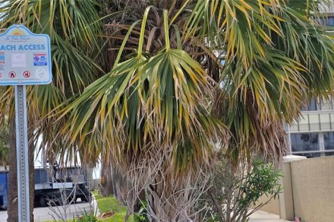 Copropriété à vendre à Saint Pete Beach, Floride: 1 chambre, 76.64 m2 № 2212001 - photo 29