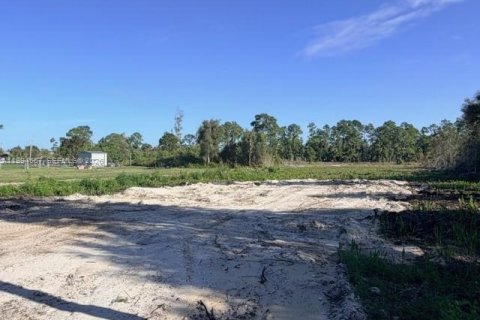 Terreno en venta en Lehigh Acres, Florida № 2255895 - foto 4