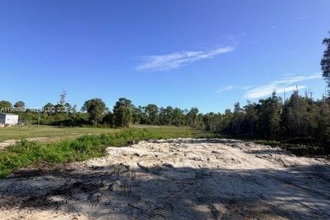 Terreno en venta en Lehigh Acres, Florida № 2255895 - foto 3