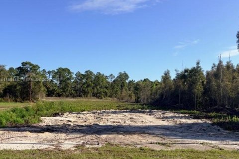 Terreno en venta en Lehigh Acres, Florida № 2255895 - foto 2