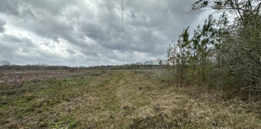 Land in Westville, Florida № 559901