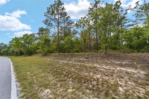 Land in Citrus Springs, Florida № 2162934 - photo 3