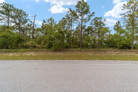 Land in Citrus Springs, Florida № 2162934