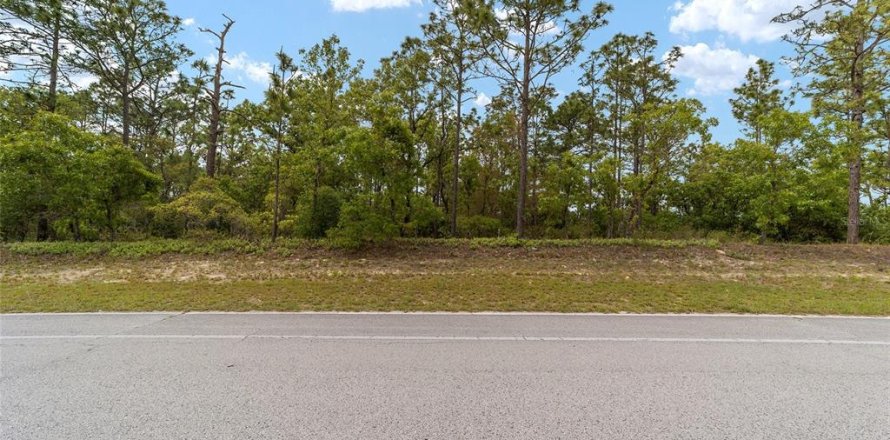 Land in Citrus Springs, Florida № 2162934