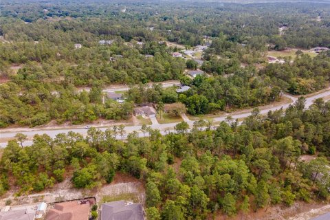 Land in Citrus Springs, Florida № 2162934 - photo 4