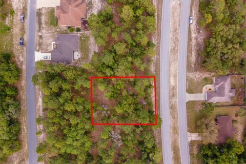 Land in Citrus Springs, Florida № 2162934 - photo 2