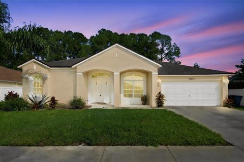 Casa en Land O' Lakes, Florida 5 dormitorios, 281.68 m2 № 2427654