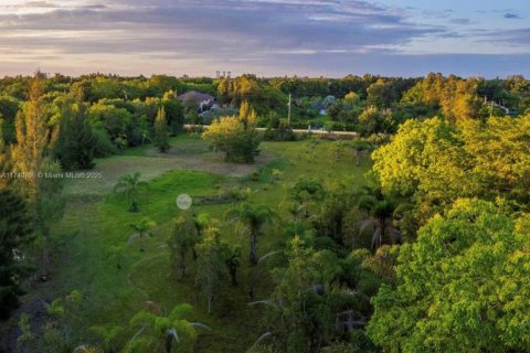 Land in Southwest Ranches, Florida № 1936258 - photo 6