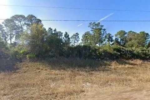 Land in Lehigh Acres, Florida № 2165541 - photo 10