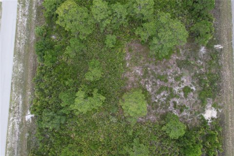 Land in Lehigh Acres, Florida № 2165541 - photo 9