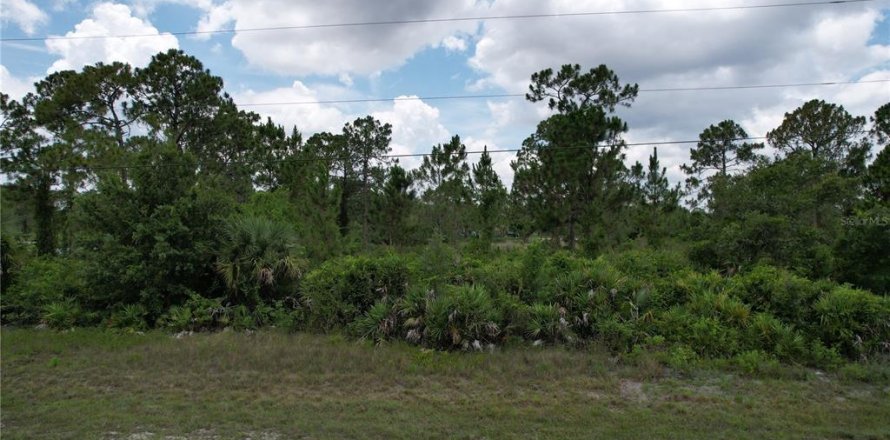 Land in Lehigh Acres, Florida № 2165541
