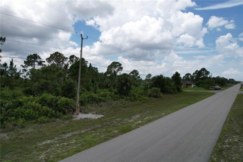 Land in Lehigh Acres, Florida № 2165541 - photo 3