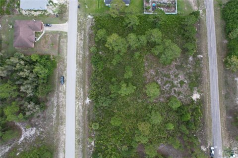 Land in Lehigh Acres, Florida № 2165541 - photo 8