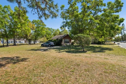 Commercial property in Clearwater, Florida 217.39 sq.m. № 1572877 - photo 14
