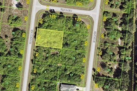 Land in Port Charlotte, Florida № 2159857 - photo 2