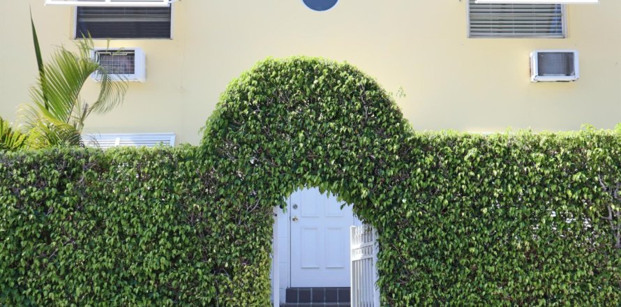 Condo à Palm Beach, Floride, 1 chambre № 1151466