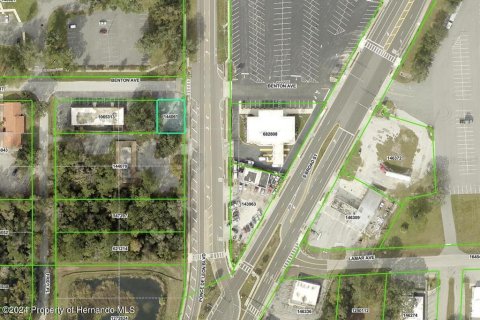 Land in Brooksville, Florida № 2162368 - photo 6