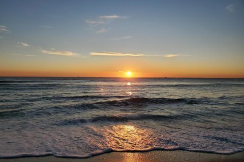 Immobilier commercial à louer à Ocean Ridge, Floride: 1 chambre, 51.84 m2 № 1179689 - photo 1