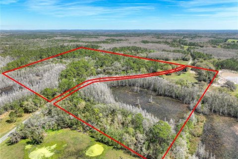 House in Groveland, Florida 4 bedrooms, 315.31 sq.m. № 1649573 - photo 3