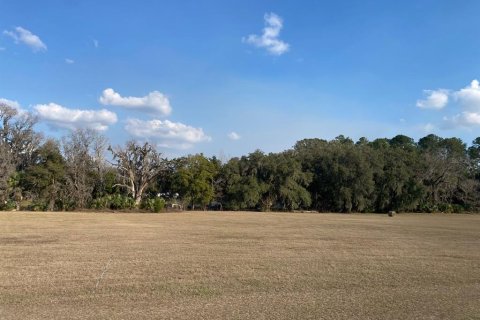 Land in Reddick, Florida № 1536028 - photo 1