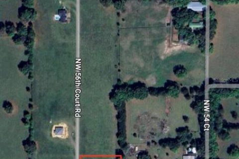 Land in Reddick, Florida № 1536028 - photo 6