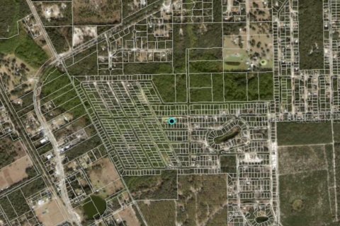 Land in Satsuma, Florida № 2164004 - photo 2
