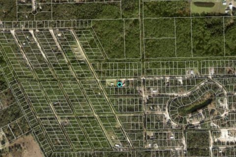 Land in Satsuma, Florida № 2164004 - photo 3