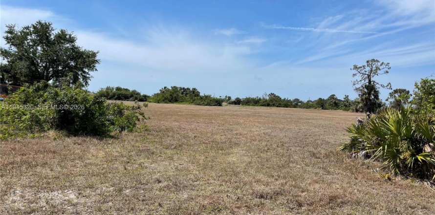 Land in Cape Coral, Florida № 2060200