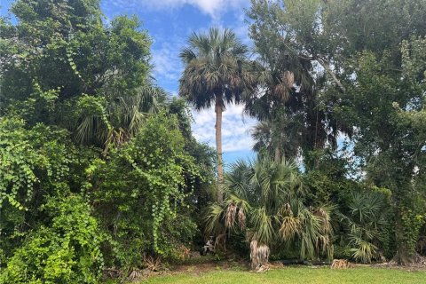 Land in Port Orange, Florida № 1917827 - photo 1