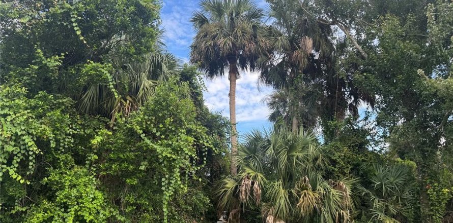 Land in Port Orange, Florida № 1917827