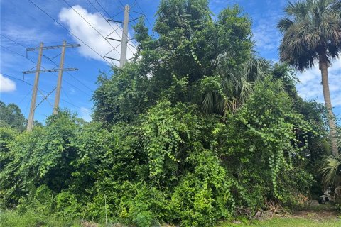 Land in Port Orange, Florida № 1917827 - photo 12