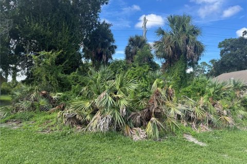 Land in Port Orange, Florida № 1917827 - photo 4