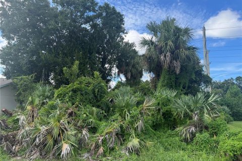 Land in Port Orange, Florida № 1917827 - photo 7
