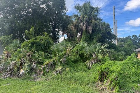 Land in Port Orange, Florida № 1917827 - photo 6
