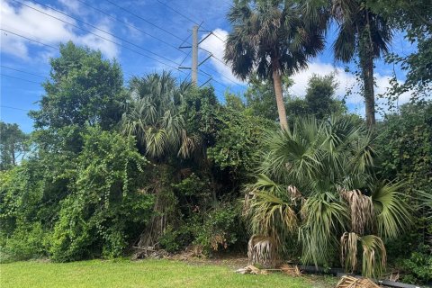 Land in Port Orange, Florida № 1917827 - photo 2