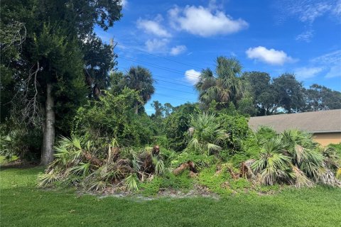 Land in Port Orange, Florida № 1917827 - photo 3
