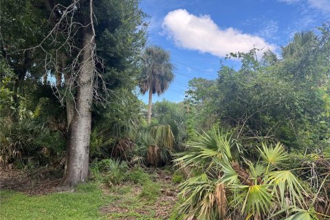 Land in Port Orange, Florida № 1917827 - photo 8