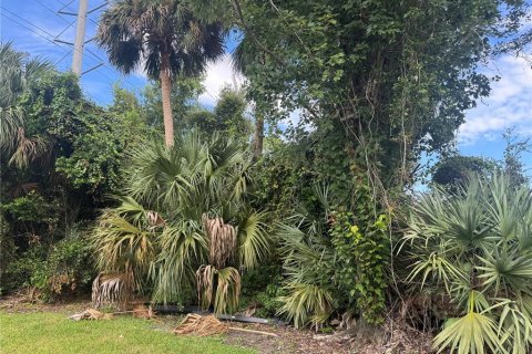 Land in Port Orange, Florida № 1917827 - photo 10