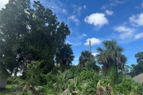 Land in Port Orange, Florida № 1917827 - photo 5