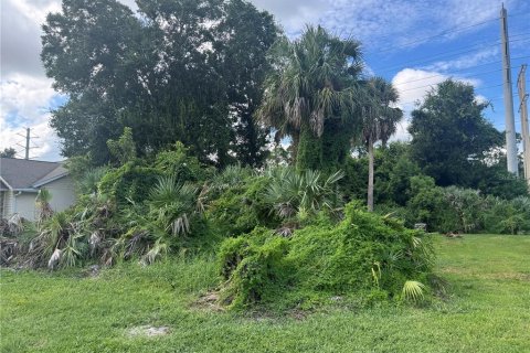 Land in Port Orange, Florida № 1917827 - photo 11