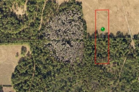 Купить земельный участок в Деланд, Флорида № 2159990 - фото 3