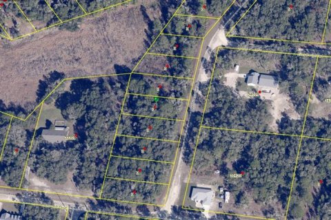 Land in Webster, Florida № 2160155