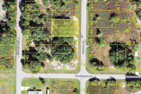 Land in Punta Gorda, Florida № 2228706 - photo 2