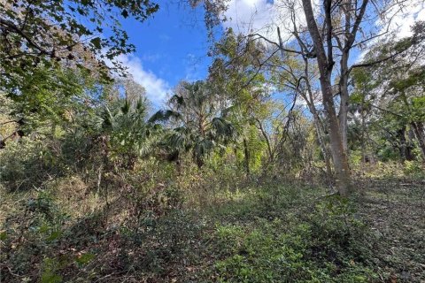 Land in Inverness, Florida № 2160178 - photo 3