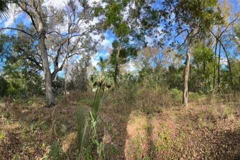 Land in Inverness, Florida № 2160178 - photo 2