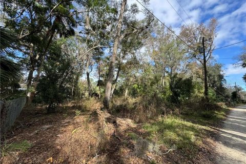 Land in Inverness, Florida № 2160178 - photo 5