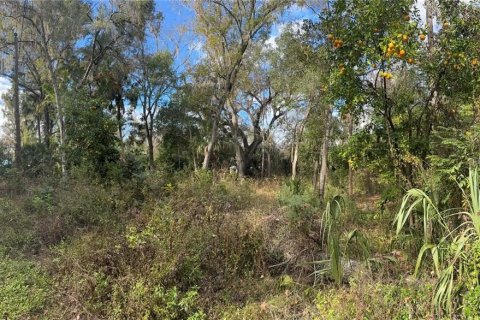 Land in Inverness, Florida № 2160178 - photo 4
