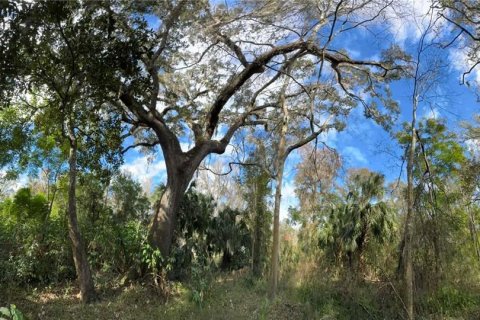 Land in Inverness, Florida № 2160178